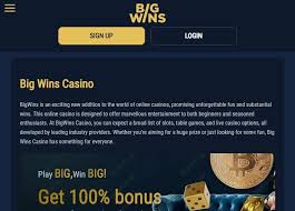 BigWins Gambling Establishment: Gamer Ratings & Our Decision